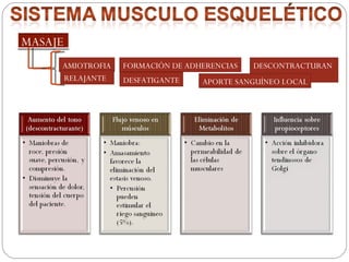 APORTE SANGUÍNEO LOCAL AMIOTROFIA FORMACIÓN DE ADHERENCIAS DESCONTRACTURANTE RELAJANTE DESFATIGANTE 