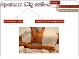 Movilidad de las Vísceras Estimulo de contracciones peristálticas Flujo sanguíneo visceral Contracción músc. liso 