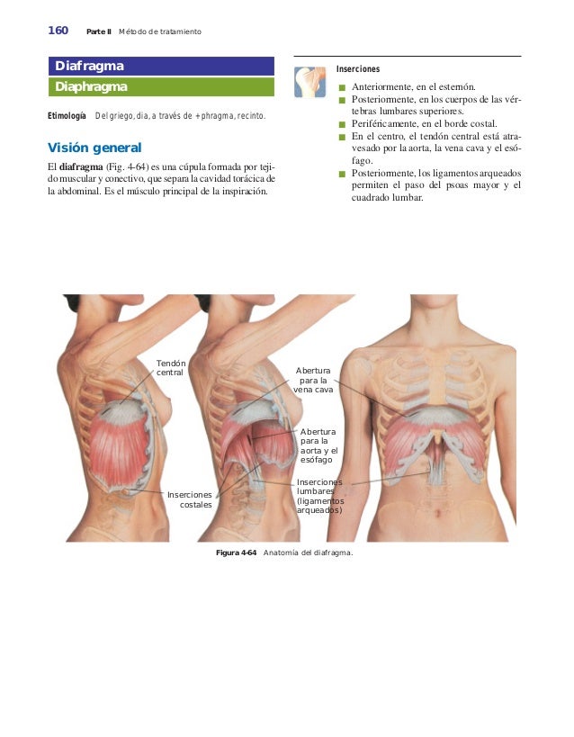 Los ungüentos a la osteocondrosis a la alimentación de pecho