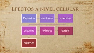 Efectos a nivel celular
Dopamina serotonina adrenalina
endorfina oxitócica cortisol
histamina
 