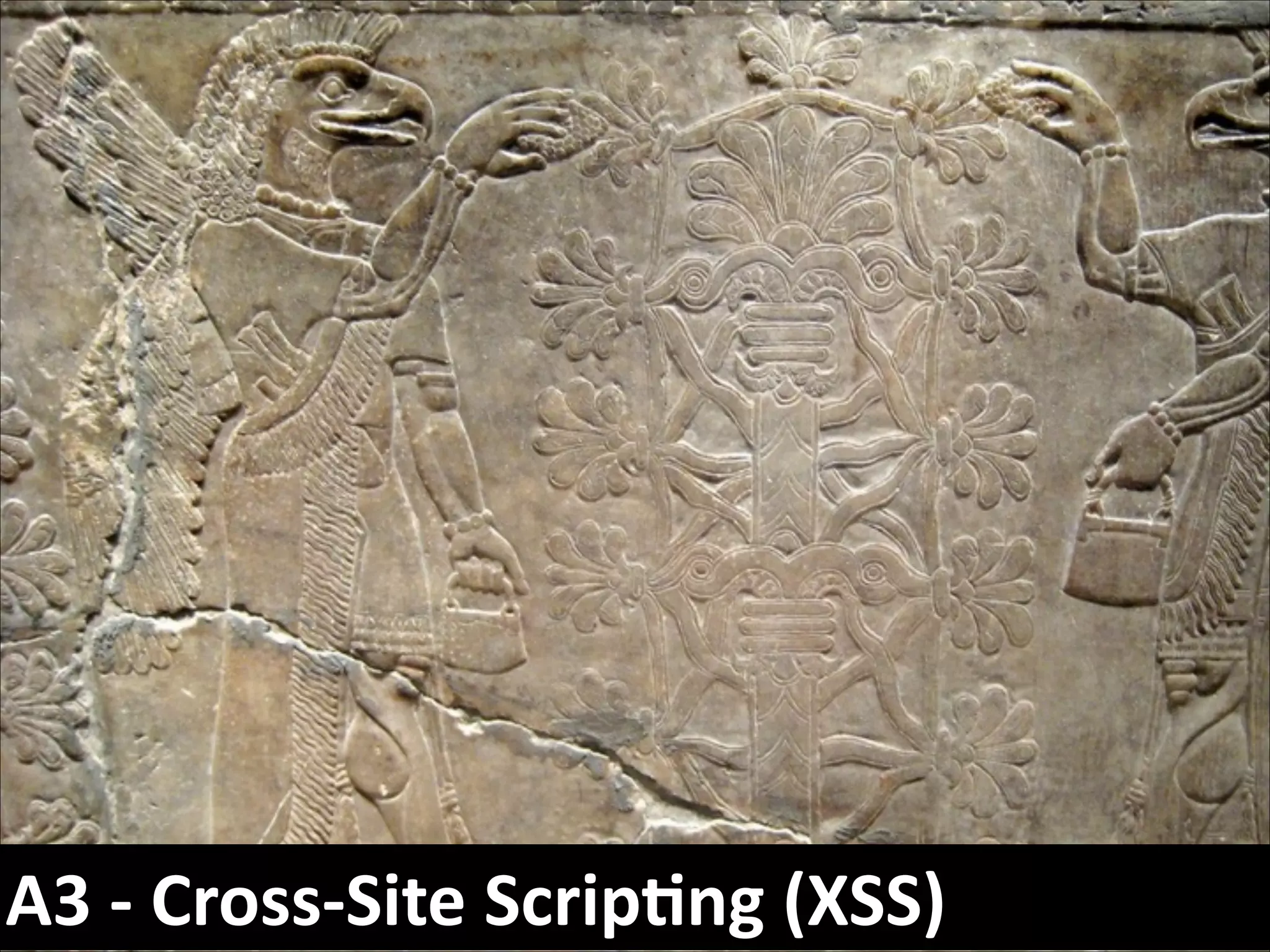 A3	
  -­‐	
  Cross-­‐Site	
  Scrip*ng	
  (XSS)

 