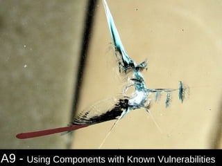 A9 - Using Components with Known Vulnerabilities
                                              48
 