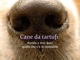 Cane da tartuﬁ
Aiutalo a tirar fuori 	

quello che c’è di notiziabile
 
