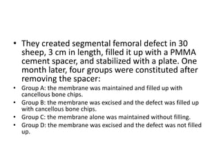 • They created segmental femoral defect in 30
sheep, 3 cm in length, filled it up with a PMMA
cement spacer, and stabilized with a plate. One
month later, four groups were constituted after
removing the spacer:
• Group A: the membrane was maintained and filled up with
cancellous bone chips.
• Group B: the membrane was excised and the defect was filled up
with cancellous bone chips.
• Group C: the membrane alone was maintained without filling.
• Group D: the membrane was excised and the defect was not filled
up.
 