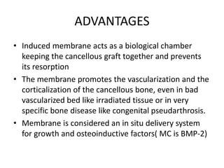 ADVANTAGES
• Induced membrane acts as a biological chamber
keeping the cancellous graft together and prevents
its resorption
• The membrane promotes the vascularization and the
corticalization of the cancellous bone, even in bad
vascularized bed like irradiated tissue or in very
specific bone disease like congenital pseudarthrosis.
• Membrane is considered an in situ delivery system
for growth and osteoinductive factors( MC is BMP-2)
 