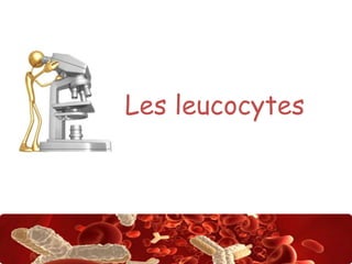Les leucocytes

Abdsalah

 