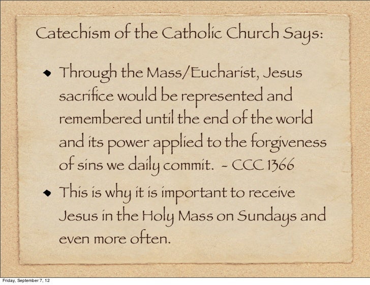 importance of eucharist in the catholic Catholics go to mass every sunday to participate in sacred worship and rituals the service holds utmost importance in their lives because it allows them to receive the holy eucharist, or. importance of eucharist in the catholic Catholics go to mass every sunday to participate in sacred worship and rituals the service holds utmost importance in their lives because it allows them to receive the holy eucharist, or.