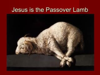 Jesus is the Passover Lamb
 
