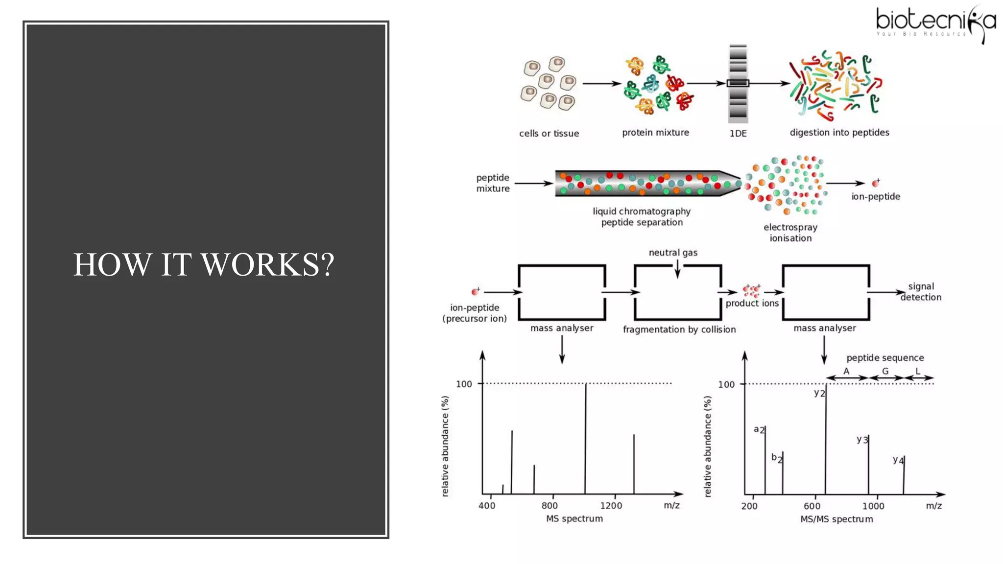 Mass Spectrometry Based Proteomics Analysis | PDF