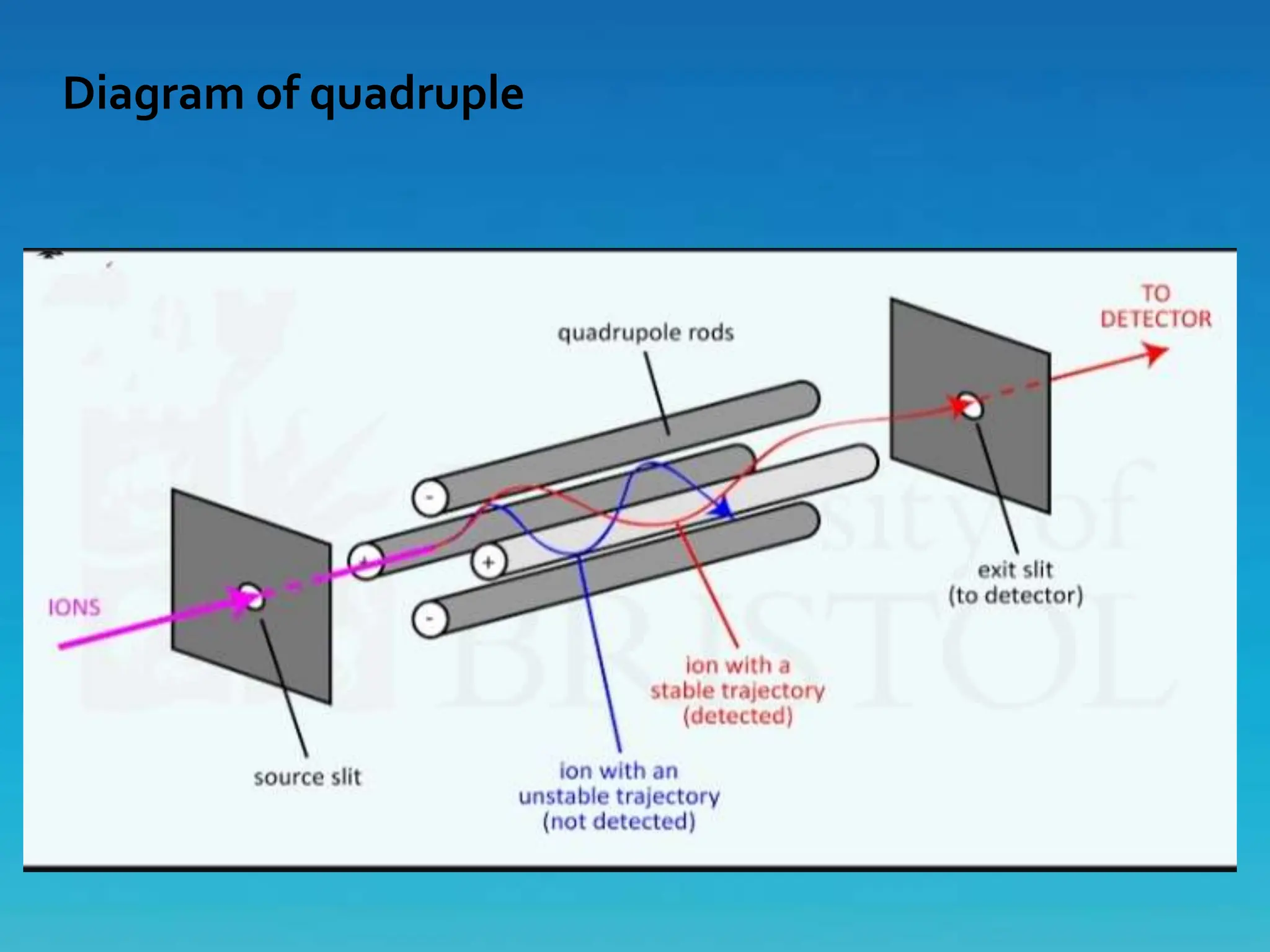 Diagram of quadruple
 