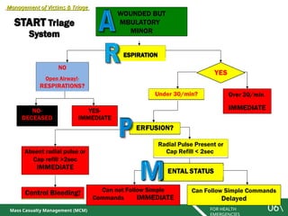Mci Algorithm Mass Casualty Triage power point presentation | PPT