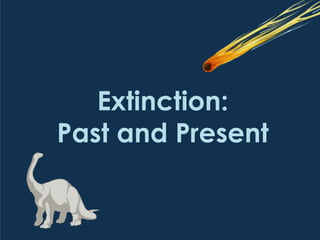 Extinction:
Past and Present
 