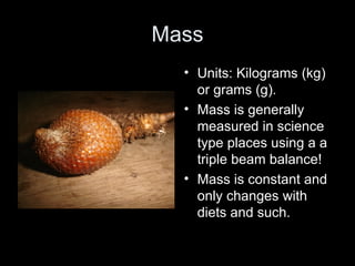 mass, volume, weight and density | PPT