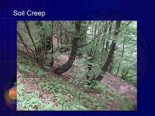 Soil Creep
 