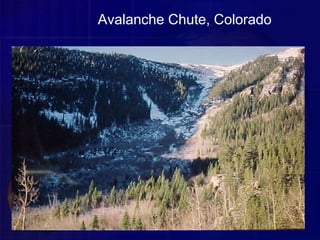 Avalanche Chute, Colorado
 