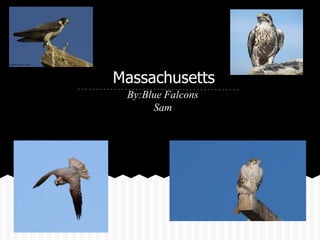 Massachusetts
 By:Blue Falcons
      Sam
 