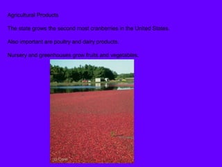 Agricultural Products
The state grows the second most cranberries in the United States.
Also important are poultry and dairy products.
Nursery and greenhouses grow fruits and vegetables.
 