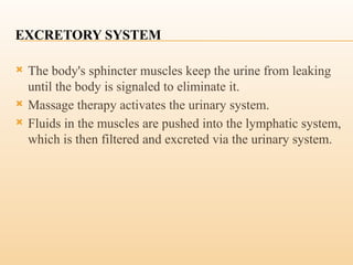 EXCRETORY SYSTEM
 The body's sphincter muscles keep the urine from leaking
until the body is signaled to eliminate it.
 Massage therapy activates the urinary system.
 Fluids in the muscles are pushed into the lymphatic system,
which is then filtered and excreted via the urinary system.
 