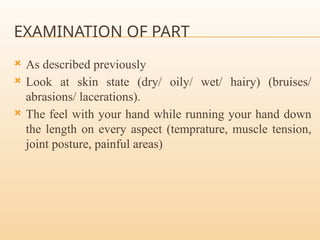 EXAMINATION OF PART
 As described previously
 Look at skin state (dry/ oily/ wet/ hairy) (bruises/
abrasions/ lacerations).
 The feel with your hand while running your hand down
the length on every aspect (temprature, muscle tension,
joint posture, painful areas)
 