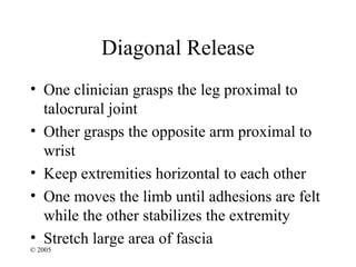 Diagonal Release
• One clinician grasps the leg proximal to
  talocrural joint
• Other grasps the opposite arm proximal to
  wrist
• Keep extremities horizontal to each other
• One moves the limb until adhesions are felt
  while the other stabilizes the extremity
• Stretch large area of fascia
© 2005
 