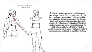 TheSmallIntestinemeridianisoneofthreeYang
meridiansonthearm.Beginning atacupointSI1on
thepinkyfinger,itpassesalongthebacksideofthe
arm,behindtheshoulder,crossesovertheshoulder
blade,andmovesuptothefacewhereitendsat
acupointSI19.BecauseofthelocationoftheSmall
Intestinemeridianandpoints,itisusedtosupportthe
healthoftheshoulderjoint.TheSmallIntestine
Meridianisusedtorelievepainintheintestinaltractand
toremoveexcessheat(suchasfever)fromthebody
 
