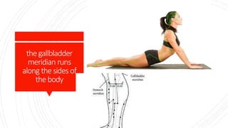 thegallbladder
meridian runs
along thesidesof
thebody
 