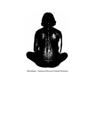 Meridiano - Sistema Nervoso Central Posterior
 