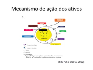 Mecanismo de ação dos ativos
(KRUPEK e COSTA, 2012)
 