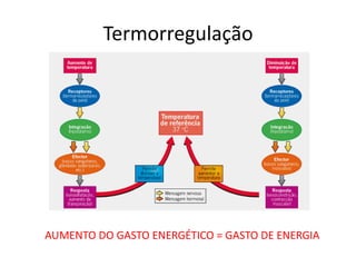 Termorregulação
AUMENTO DO GASTO ENERGÉTICO = GASTO DE ENERGIA
 