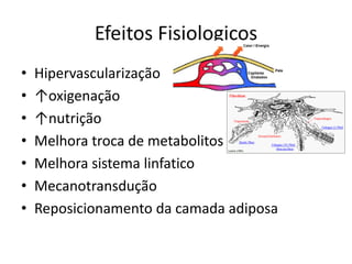 Efeitos Fisiologicos
• Hipervascularização
• ↑oxigenação
• ↑nutrição
• Melhora troca de metabolitos
• Melhora sistema linfatico
• Mecanotransdução
• Reposicionamento da camada adiposa
 