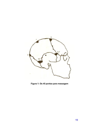 Figura 1: Os 45 pontos para massagem




                                       19
 