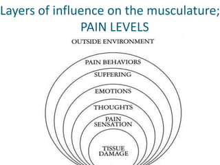 Layers of influence on the musculature;                          PAIN LEVELS