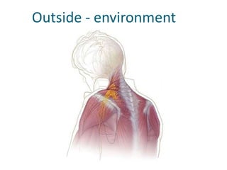          Outside - environment