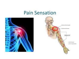                 Pain Sensation