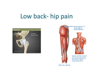              Low back- hip pain