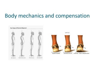 Body mechanics and compensation
