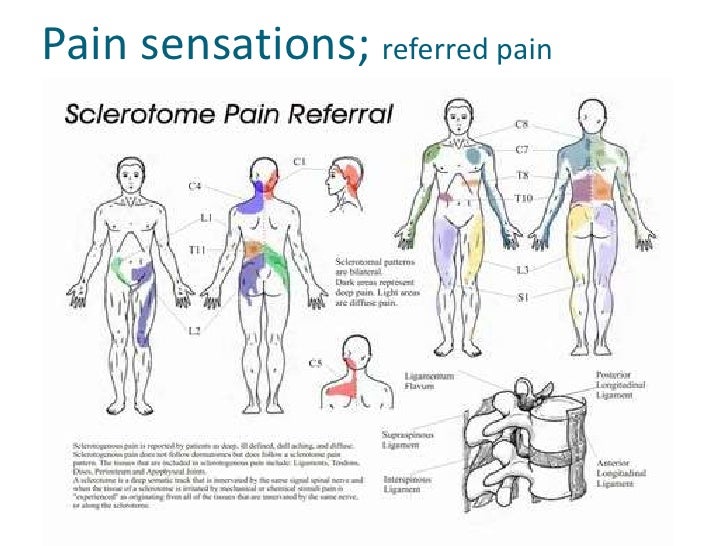 Massage therapy a medical modality