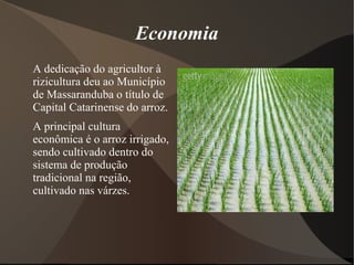 Economia
A dedicação do agricultor à
rizicultura deu ao Município
de Massaranduba o título de
Capital Catarinense do arroz.
A principal cultura
econômica é o arroz irrigado,
sendo cultivado dentro do
sistema de produção
tradicional na região,
cultivado nas várzes.
 