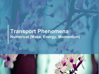 1
Transport Phenomena
Numerical (Mass, Energy, Momentum)
 