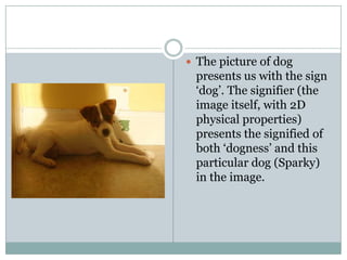 The picture of dog presents us with the sign ‘dog’. The signifier (the image itself, with 2D physical properties) presents the signified of both ‘dogness’ and this particular dog (Sparky) in the image.