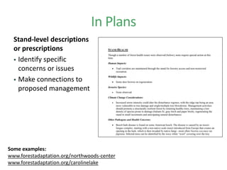 In Plans
Stand-level descriptions
or prescriptions
 Identify specific
concerns or issues
 Make connections to
proposed management
Some examples:
www.forestadaptation.org/northwoods-center
www.forestadaptation.org/carolinelake
 