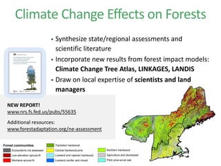 Climate Change Effects on Forests
NEW REPORT!
www.nrs.fs.fed.us/pubs/55635
Additional resources:
www.forestadaptation.org/ne-assessment
 Synthesize state/regional assessments and
scientific literature
 Incorporate new results from forest impact models:
Climate Change Tree Atlas, LINKAGES, LANDIS
 Draw on local expertise of scientists and land
managers
 