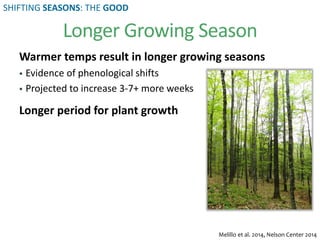 Warmer temps result in longer growing seasons
 Evidence of phenological shifts
 Projected to increase 3-7+ more weeks
Longer period for plant growth
Melillo et al. 2014, Nelson Center 2014
Longer Growing Season
SHIFTING SEASONS: THE GOOD
 