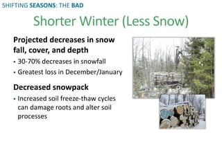 Projected decreases in snow
fall, cover, and depth
 30-70% decreases in snowfall
 Greatest loss in December/January
Decreased snowpack
 Increased soil freeze-thaw cycles
can damage roots and alter soil
processes
Shorter Winter (Less Snow)
SHIFTING SEASONS: THE BAD
 