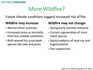 More Wildfire?
Wildfire may increase:
 Warmer/drier summers
 Increased stress or mortality
from less suitable conditions
 Shift toward fire-associated
species like oaks and pines
Wildfire may not change:
 Spring/early summer moisture
 Current regeneration of more
mesic species
 Spatial patterns of land use and
fragmentation
 Fire suppression
Clark et al. 2014, Guyette et al. 2014
Future climate conditions suggest increased risk of fire.
SHIFTING STRESSORS
 