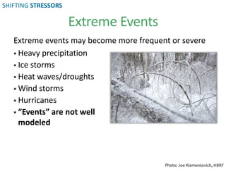 Extreme Events
Extreme events may become more frequent or severe
 Heavy precipitation
 Ice storms
 Heat waves/droughts
 Wind storms
 Hurricanes
 “Events” are not well
modeled
Photo: Joe Klementovich, HBRF
SHIFTING STRESSORS
 