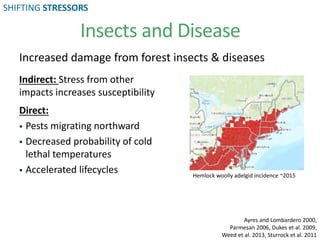 Insects and Disease
Indirect: Stress from other
impacts increases susceptibility
Direct:
 Pests migrating northward
 Decreased probability of cold
lethal temperatures
 Accelerated lifecycles
Ayres and Lombardero 2000,
Parmesan 2006, Dukes et al. 2009,
Weed et al. 2013, Sturrock et al. 2011
Increased damage from forest insects & diseases
Hemlock woolly adelgid incidence ~2015
SHIFTING STRESSORS
 