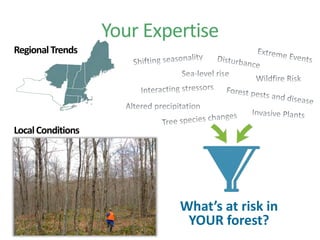 Your Expertise
What’s at risk in
YOUR forest?
RegionalTrends
LocalConditions
 