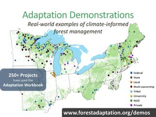 www.forestadaptation.org/demos
250+ Projects
have used the
Adaptation Workbook
Adaptation Demonstrations
Real-world examples of climate-informed
forest management
 