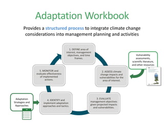 Adaptation Workbook
Provides a structured process to integrate climate change
considerations into management planning and activities
1. DEFINE area of
interest, management
objectives, and time
frames.
2. ASSESS climate
change impacts and
vulnerabilities for the
area of interest.
3. EVALUATE
management objectives
given projected impacts
and vulnerabilities.
4. IDENTIFY and
implement adaptation
approaches and tactics.
5. MONITOR and
evaluate effectiveness
of implemented
actions.
Vulnerability
assessments,
scientific literature,
and other resources
Adaptation
Strategies and
Approaches
 